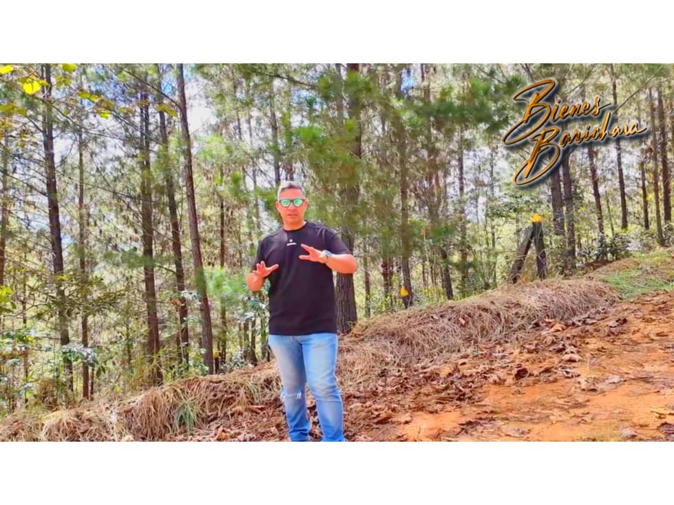 Vendo Parcela Barichara Vda. Guayabal Pinar - 1