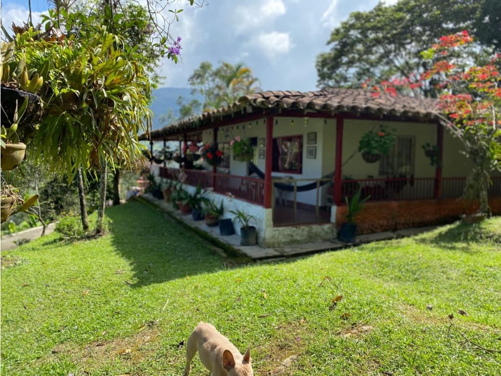 Venta Finca en Fredonia Vereda el cinco - 1