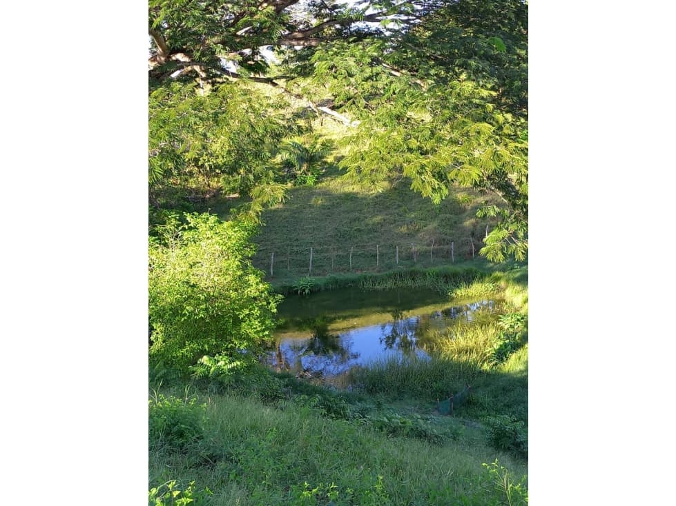 CASA FINCA EN ARRIENDO O VENTA VIA MONTERIA PLANETA RICA - 1