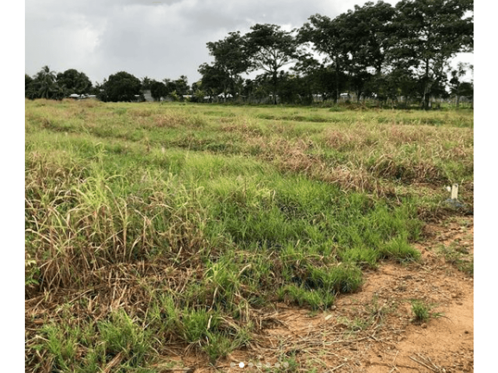 VENDE LOTES EN CERETE CORDOBA NUEVO PROYECTO - 1