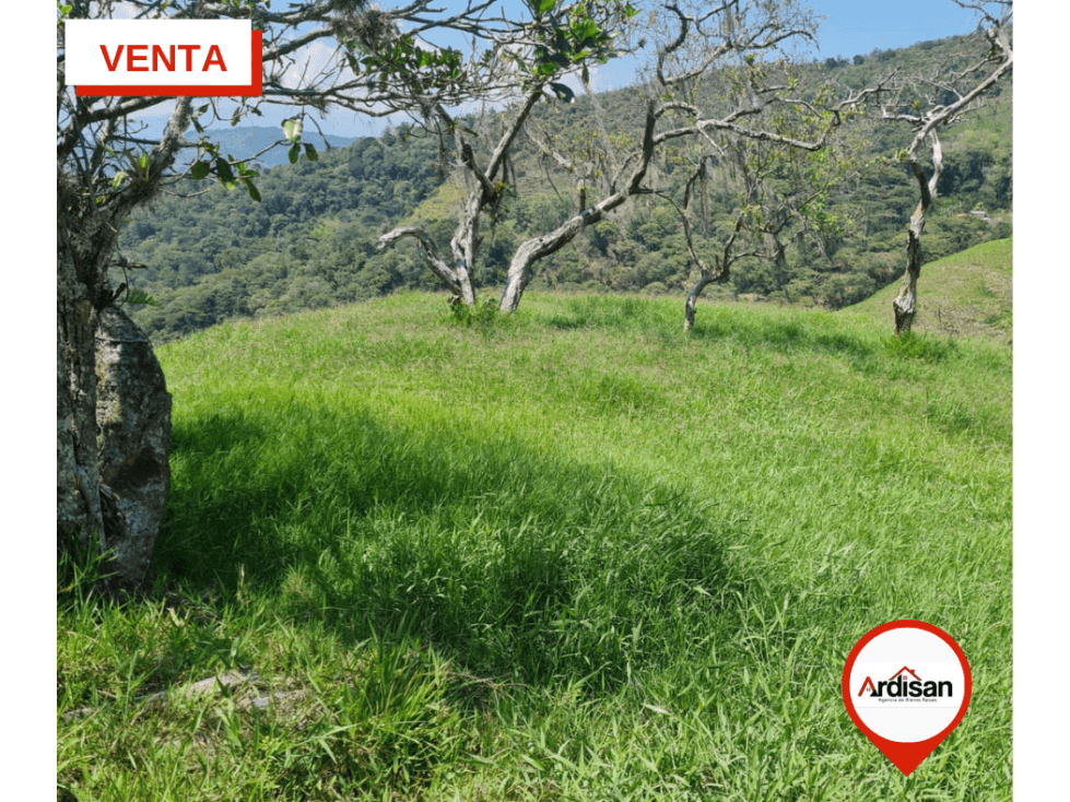 FINCA GANADERA SEMIPLANA A 15 MINUTOS DE OIBA SANTANDER - 1