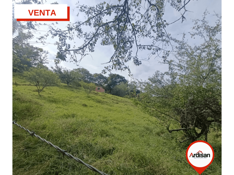 PARCELAS RURALES DE 2.500MTS VIA A SIMACOTA - 1