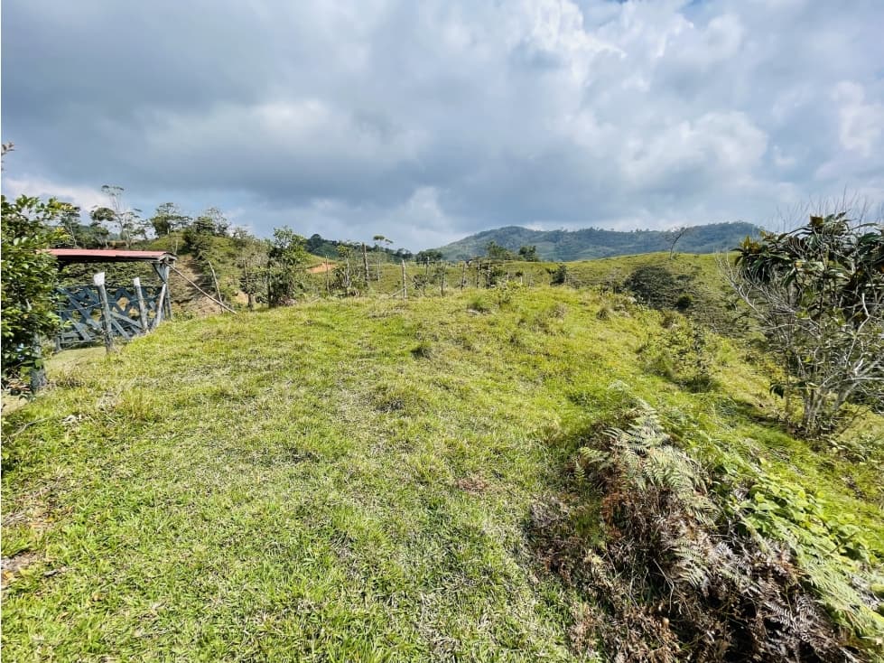 Venta de lote con 5.300 m2 en San Roque, Antioquia - 1