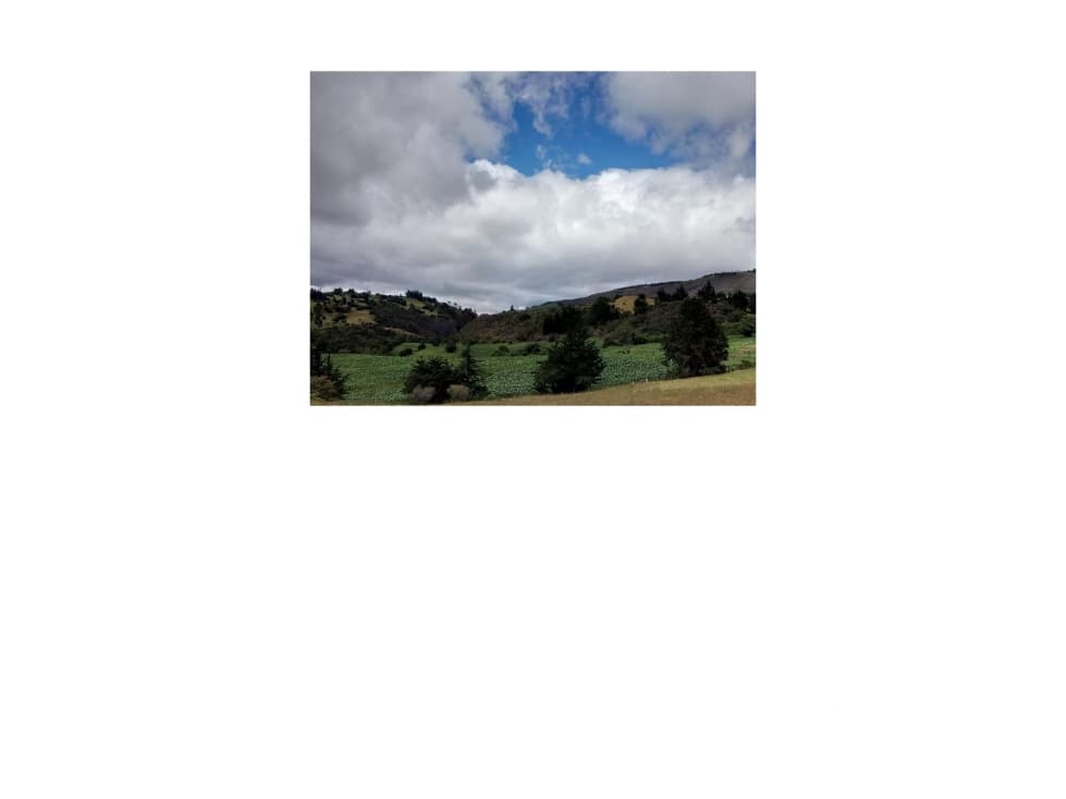 VENDO LOTE 12 HECTARIAS /2 LOTES LENGUAZAQUE - 1