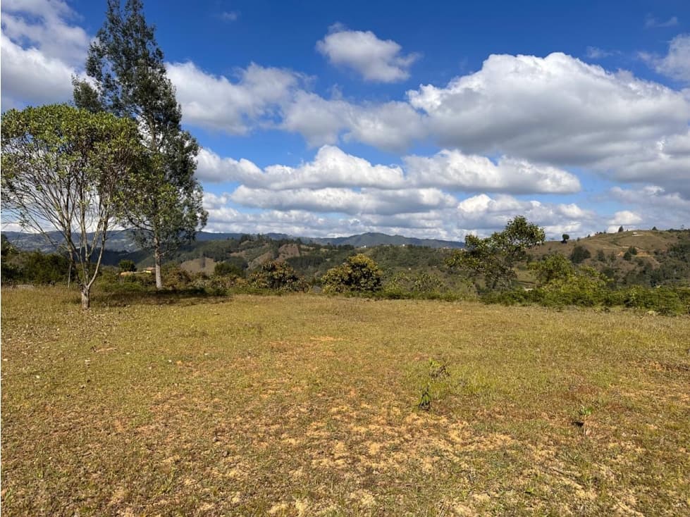 ENCANTADOR LOTE EN CON LINDA VISTA EN VENTA GUARNE - 1