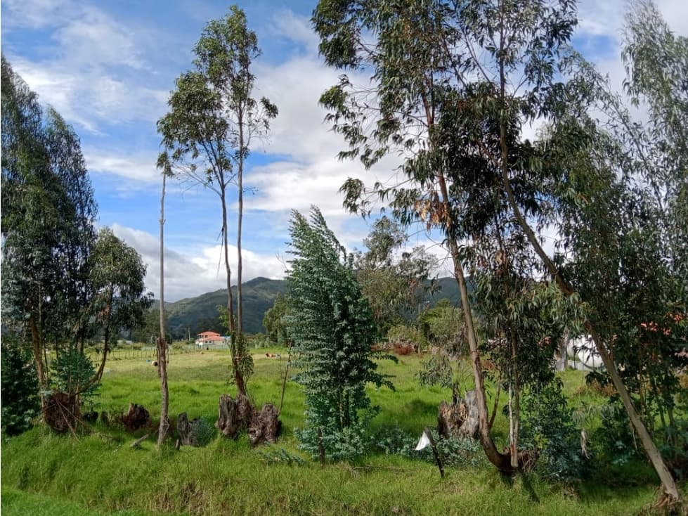 VENDO LOTE TIBASOSA - 1