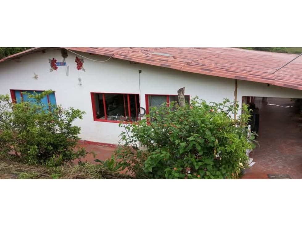 Vendo Finca en Choachí-Cundinamarca - 1