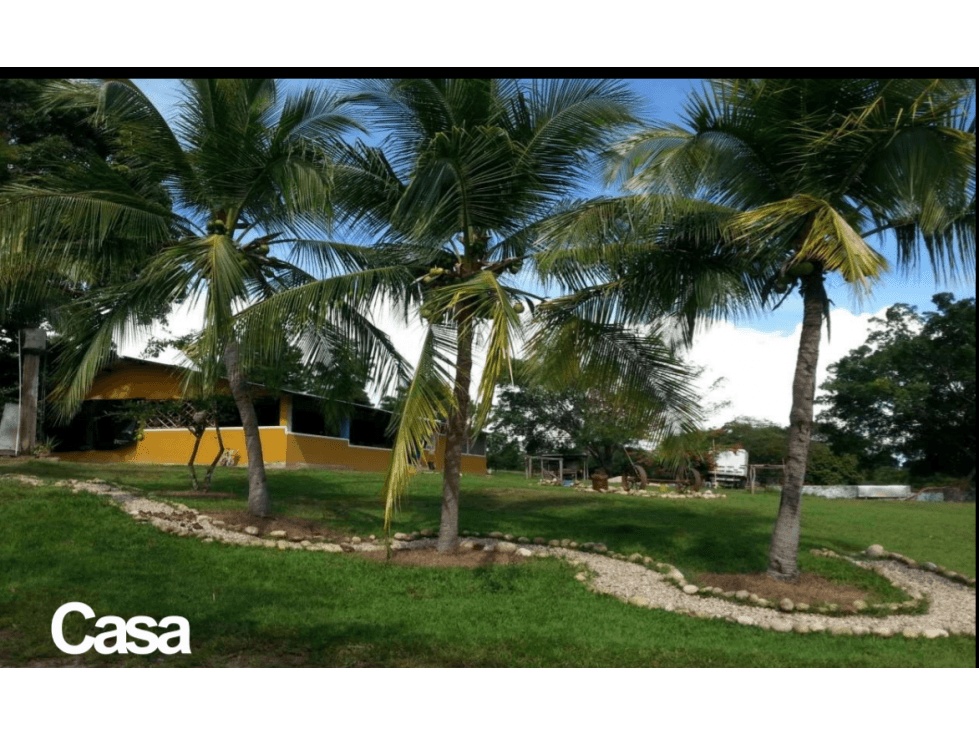 VENTA FINCA 263 HECT. EN VILLA NUEVA CASANARE - 1