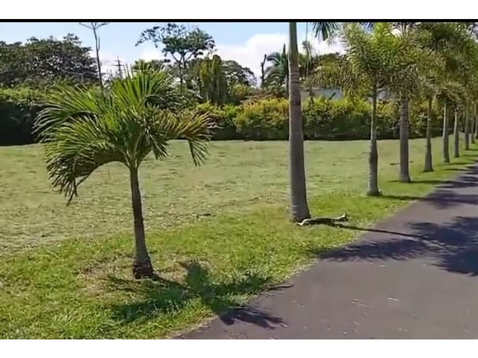 VENDO LOTE VIA CERRITOS LA VIRGINIA PEREIRA - 1