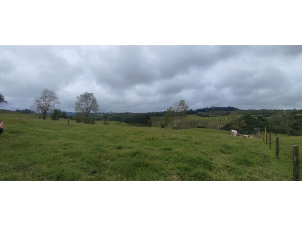 SE VENDE LOTE EN CIRCASIA CON LICENCIA DE CONSTRUCCIÓN - 1