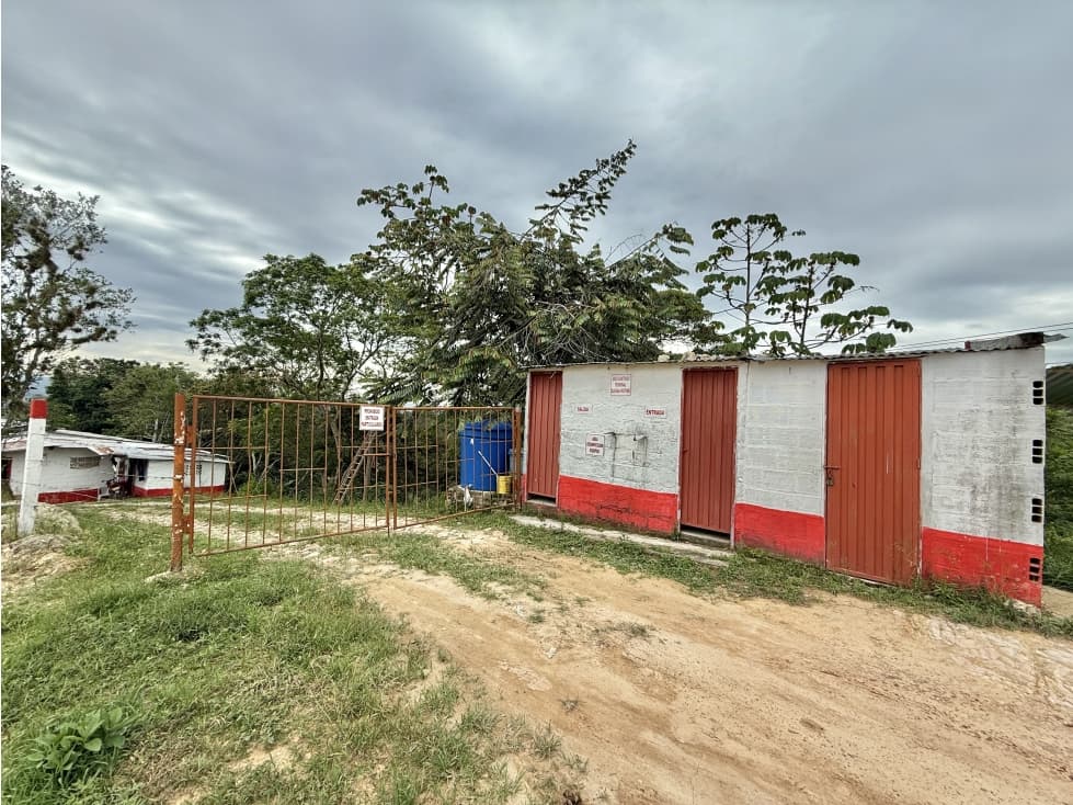 Finca sembrada en piña y cacao y con galpones para 20.000 gallinas - 1