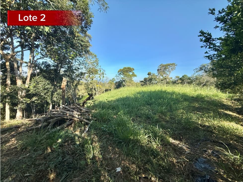 INVIERTE EN LEBRIJA, VIVE DONDE EL CLIMA ES PERFECTO - 1