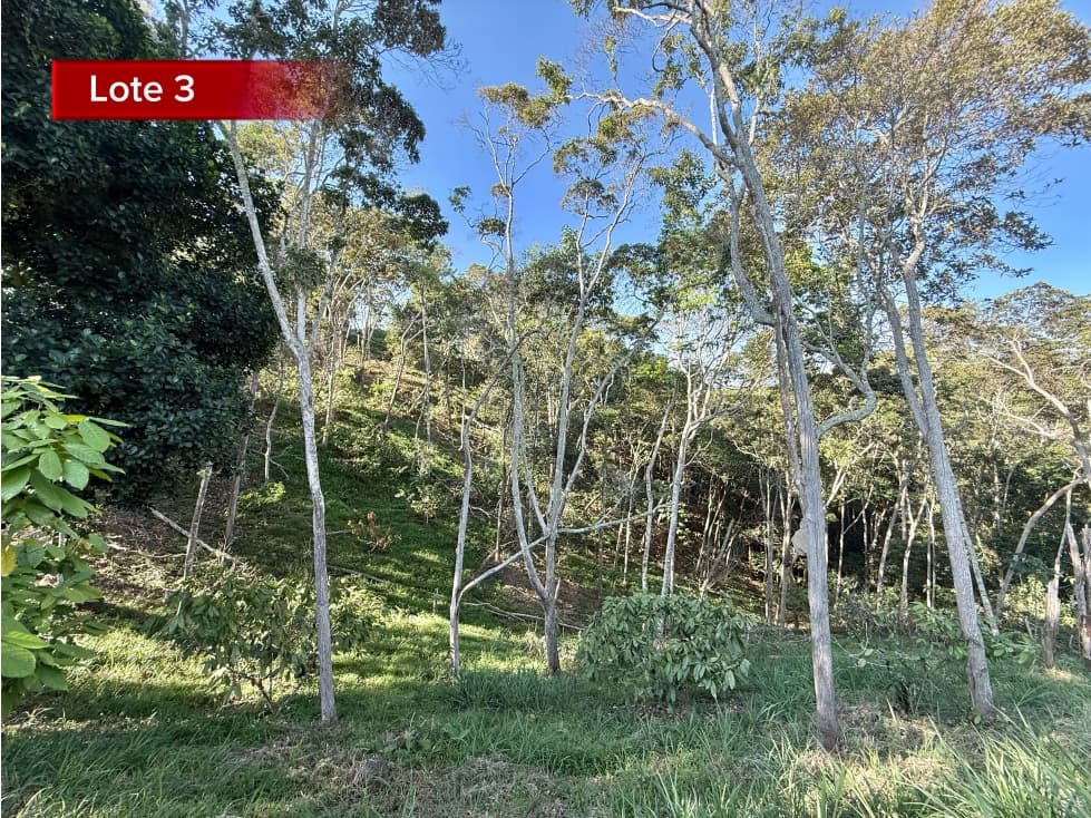 IDEAL PARA INVERSION LOTE EN LEBRIJA - 1