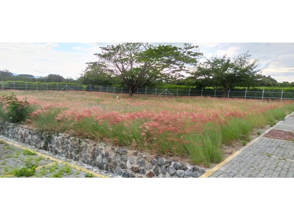 Lote en Venta, Ginebra - 1