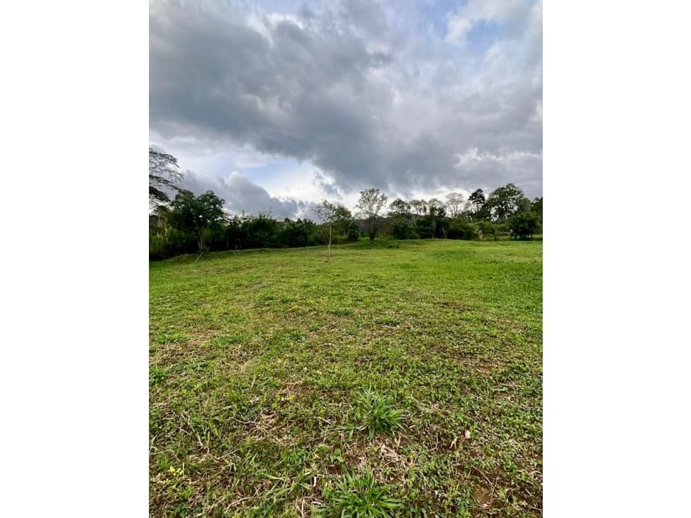 Lote para la venta en Camilo C Amaga - 1