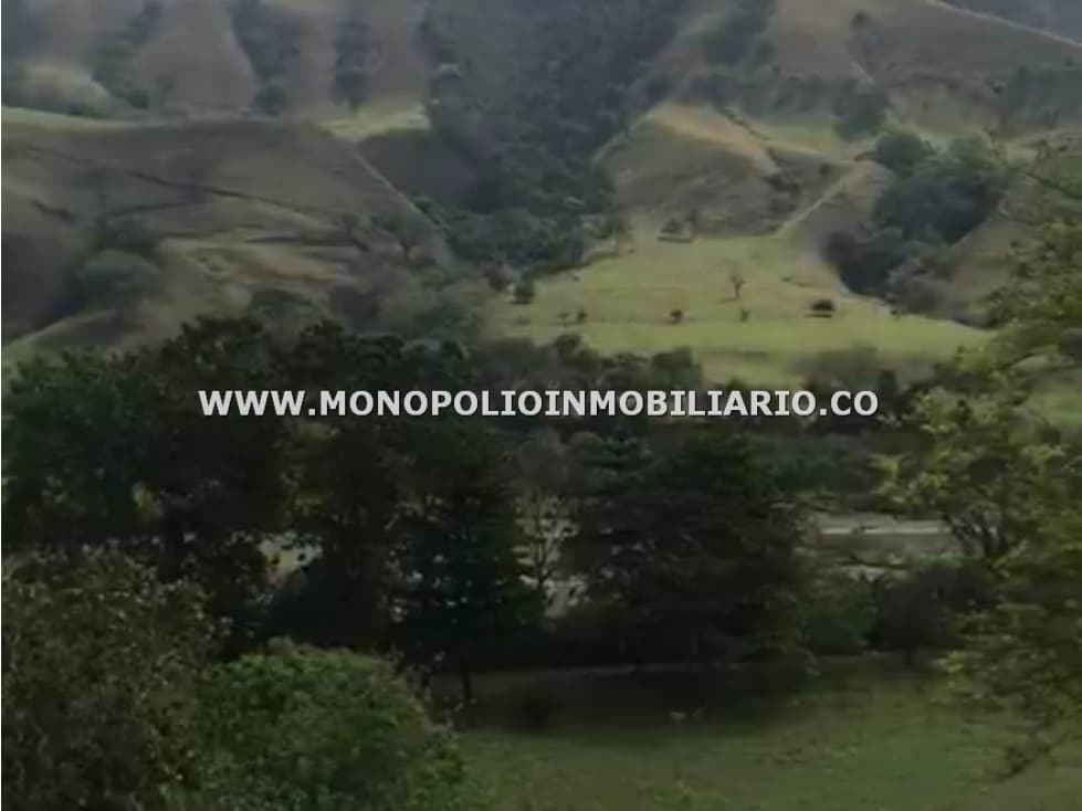LOTE EN VENTA - SECTOR SANTA FE DE ANTIOQUIA COD: 23471 - 1