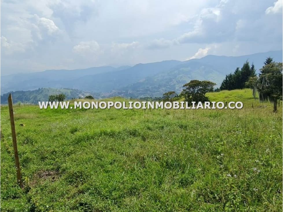 LOTE EN VENTA - SECTOR PAJARITO, SAN CRISTOBAL COD: 24439  - 1