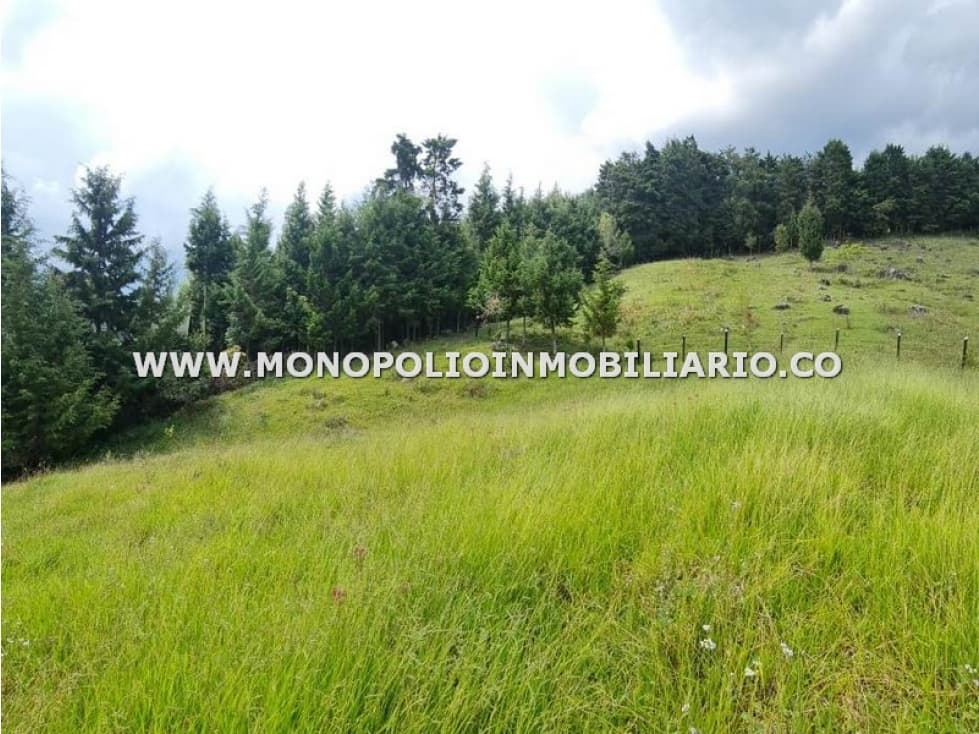 LOTE EN VENTA - SECTOR PAJARITO, SAN CRISTOBAL COD: 24436 - 1