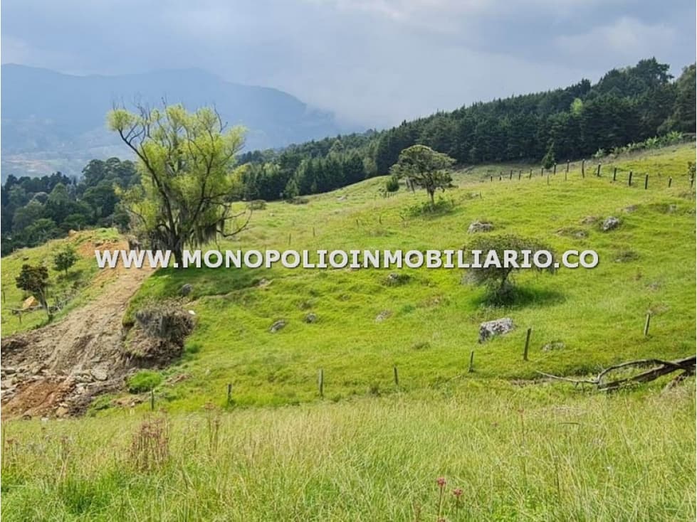 LOTE EN VENTA - SECTOR PAJARITO, SAN CRISTOBAL COD: 24434 - 1