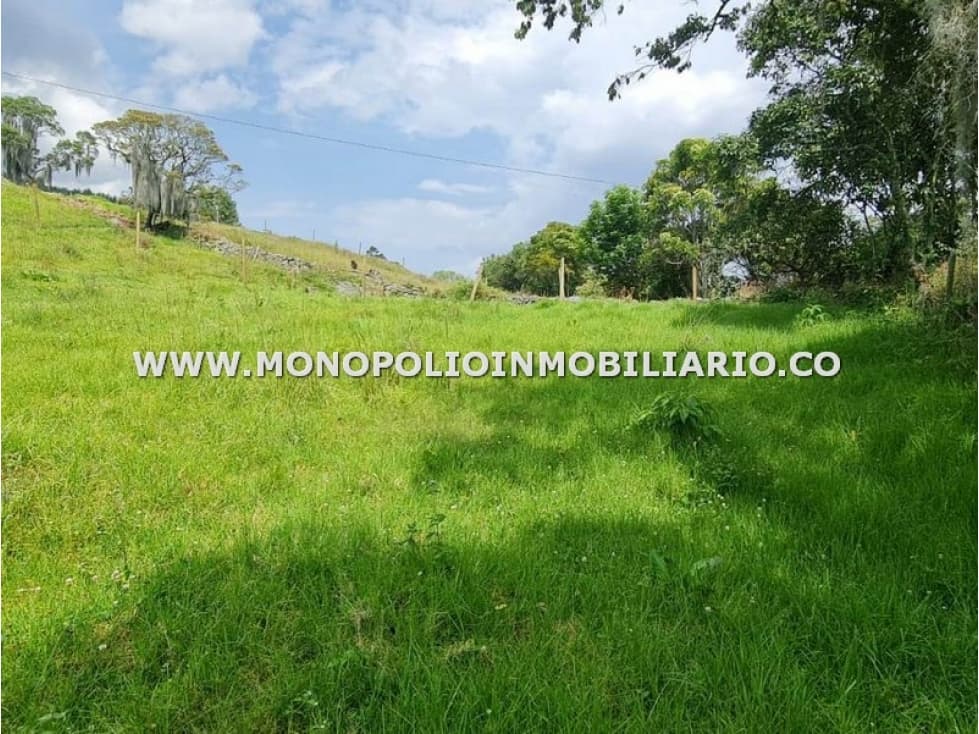 LOTE EN VENTA - SECTOR PAJARITO, SAN CRISTOBAL COD: 24433 - 1