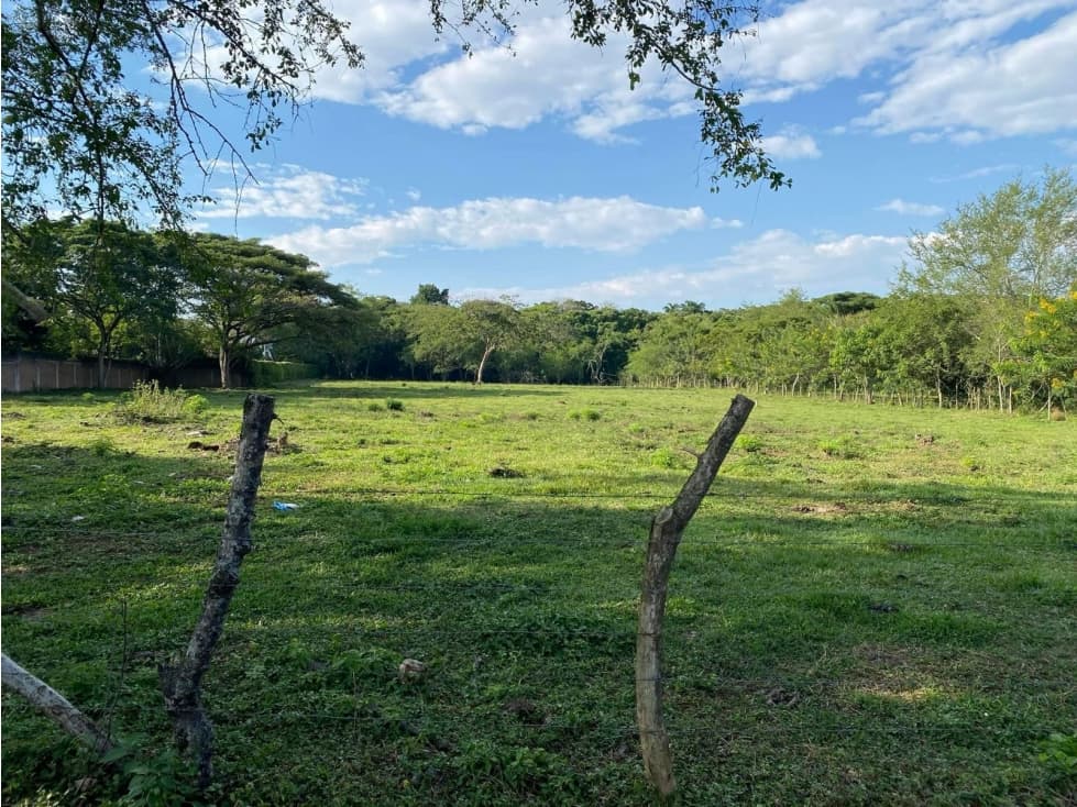 SE VENDE LOTE EN PANCE PARA PROYECTO URBANISTICO DE 30 MIL M2 - 1