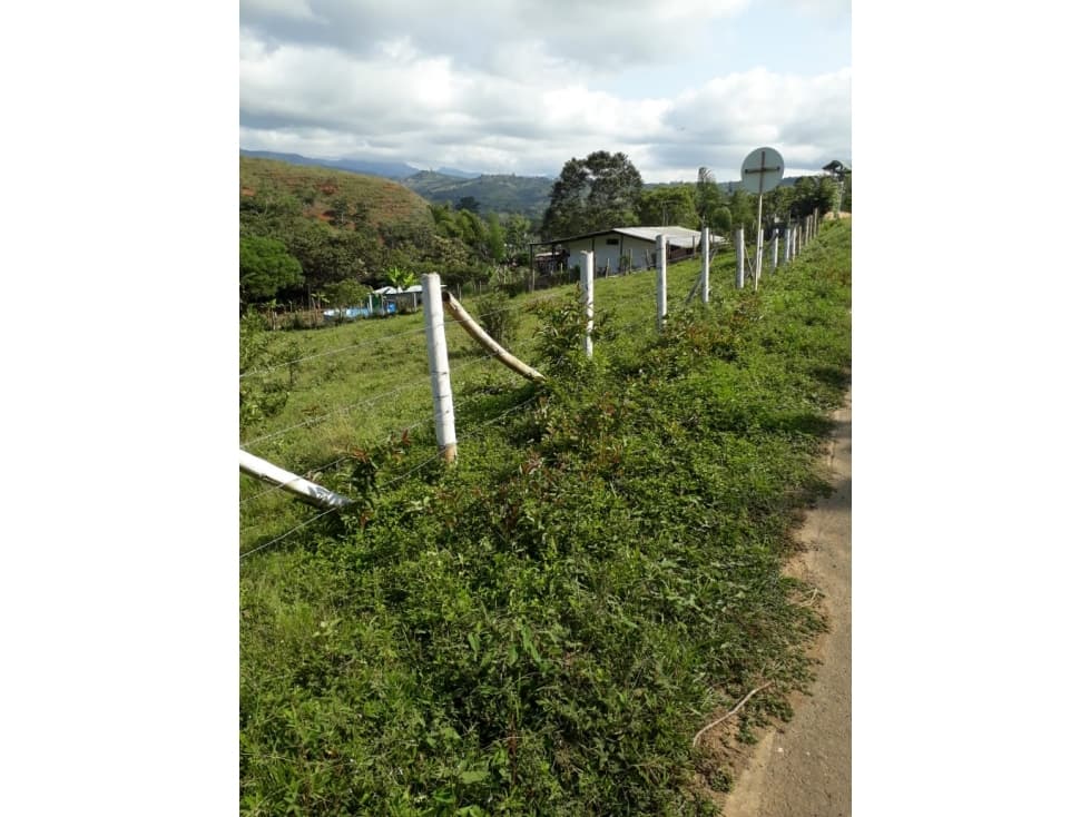 VENTA LOTE EN PAVAS - 1