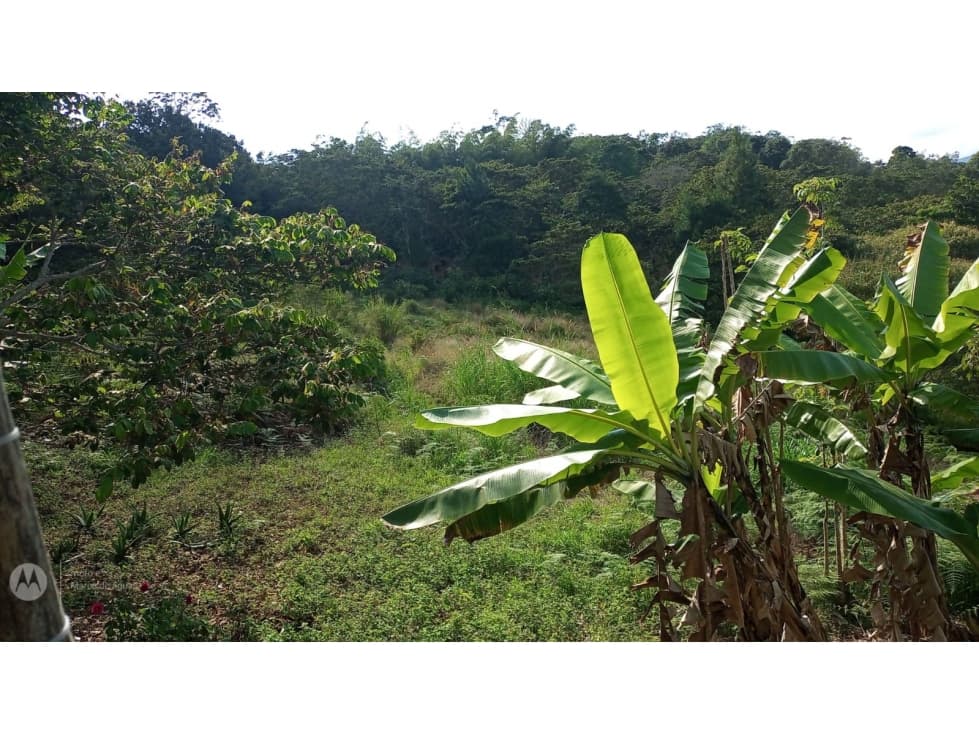 EXCELENTE LOTE EN LA CUMBRE 3 hectareas - 1