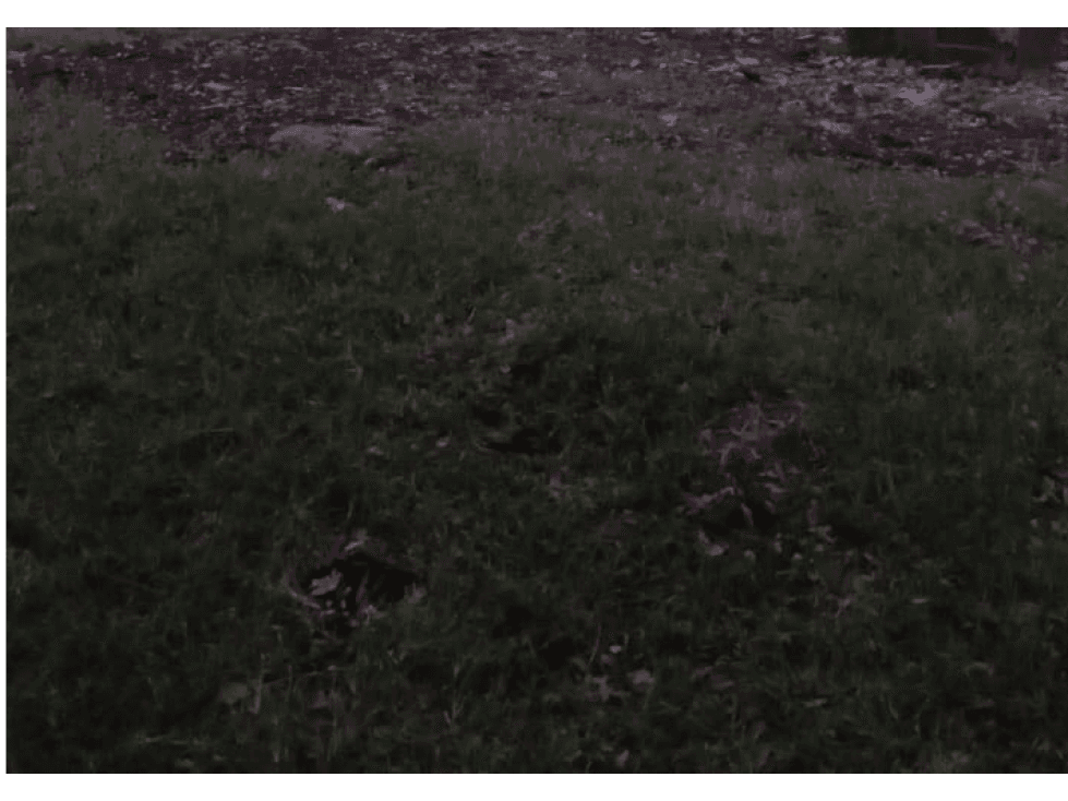 SE VENDE LOTE EN ACOPI YUMBO PARA BODEGA COMERCIAL DE 50.000 M2 - 1