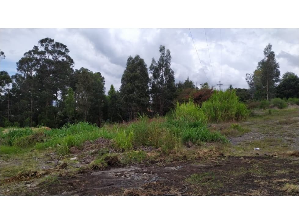 VENDO LOTE VILLA DE LEYVA SECTOR BOMBEROS ALTO - 1