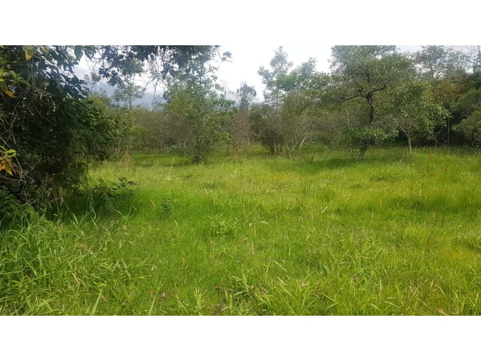 VENDO LOTE PLANO - ALTO DEL ESPINO - VILLA DE LEYVA - 1