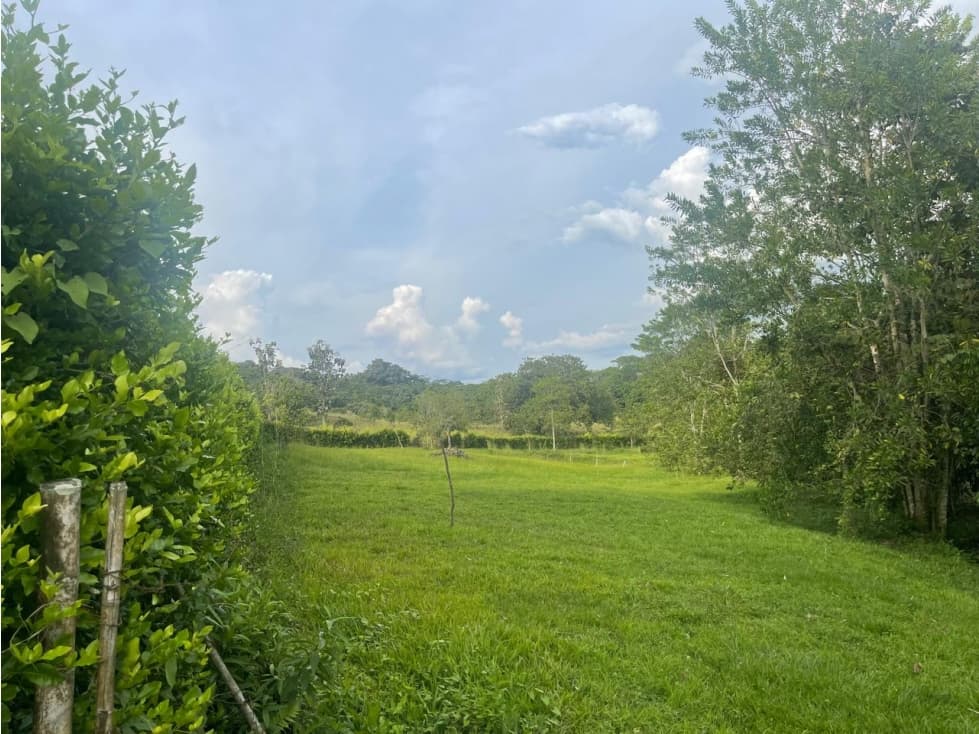 VENDO LOTE # 21 PLANO DENTRO DE CONJUNTO - VITERBO - CALDAS - URGEME - 1