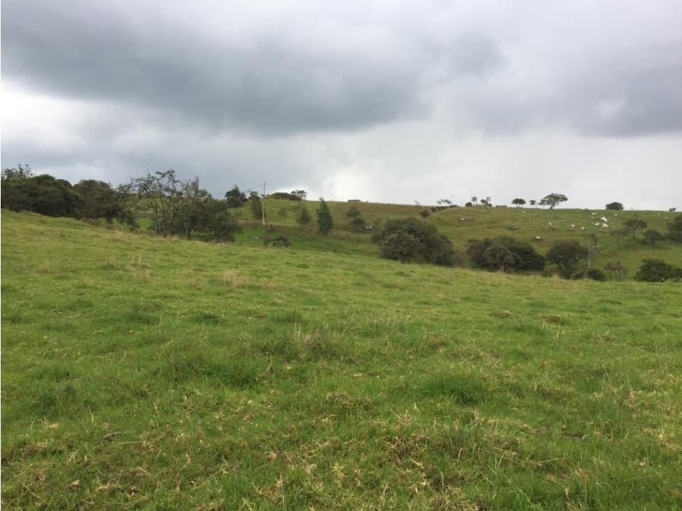 VENDO LOTE VEREDA SAN JOSE - LA CALERA - URGEME - 1