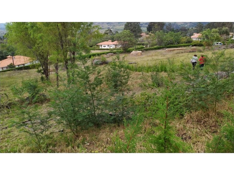 VENDO LOTE # 32 EN CONJUNTO VILLA DE LEYVA - URGEME - 1