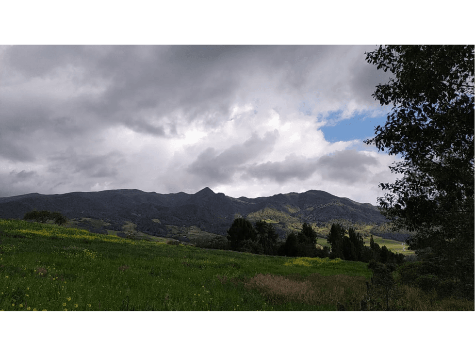 VENDO LOTE DE 19.200 METROS VEREDA SANTA HELENA EN LA CALERA - 1