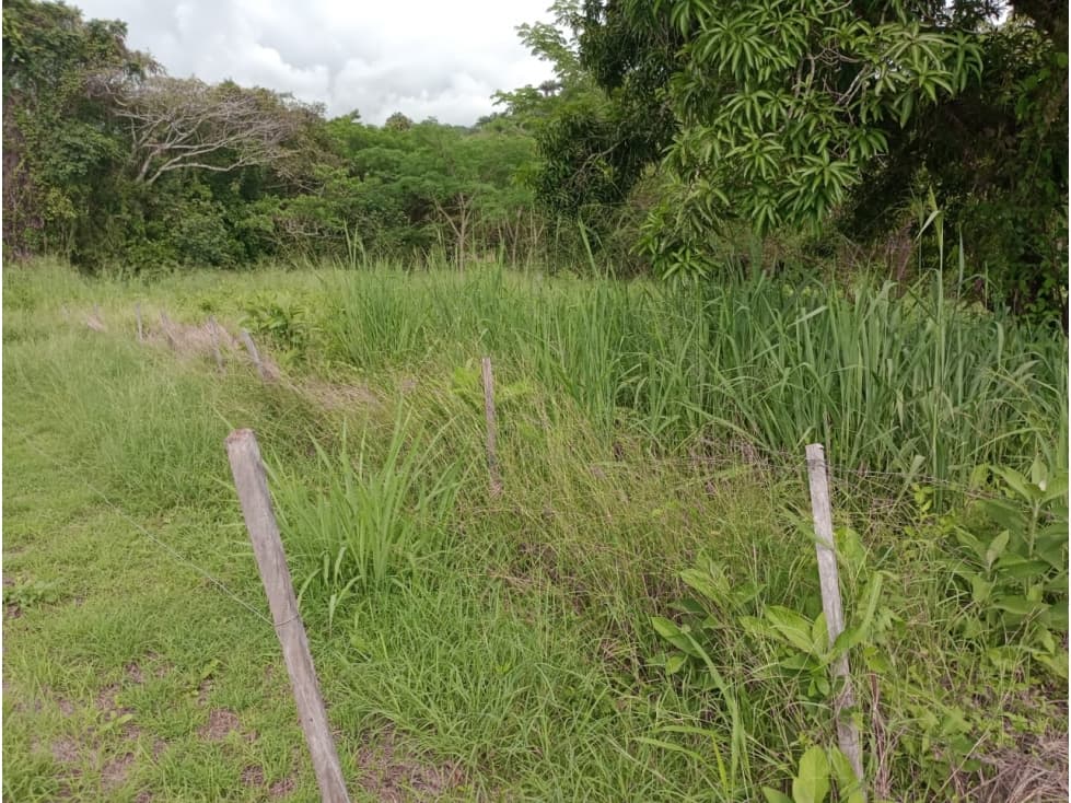 VENDO LOTE PLANO DE 4.000 METROS EN CONJUNTO SAN ANTONIO DE APULO - 1