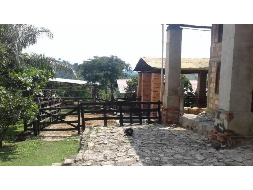 SE VENDE FINCA A 5 MINUTOS DE ANAPOIMA.P - 1