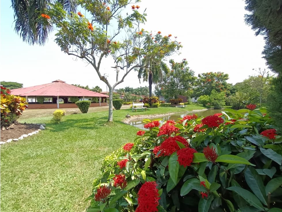 VENTA FINCA DE RECREO CAMPESTRE VILLA RICA CAUCA - 1