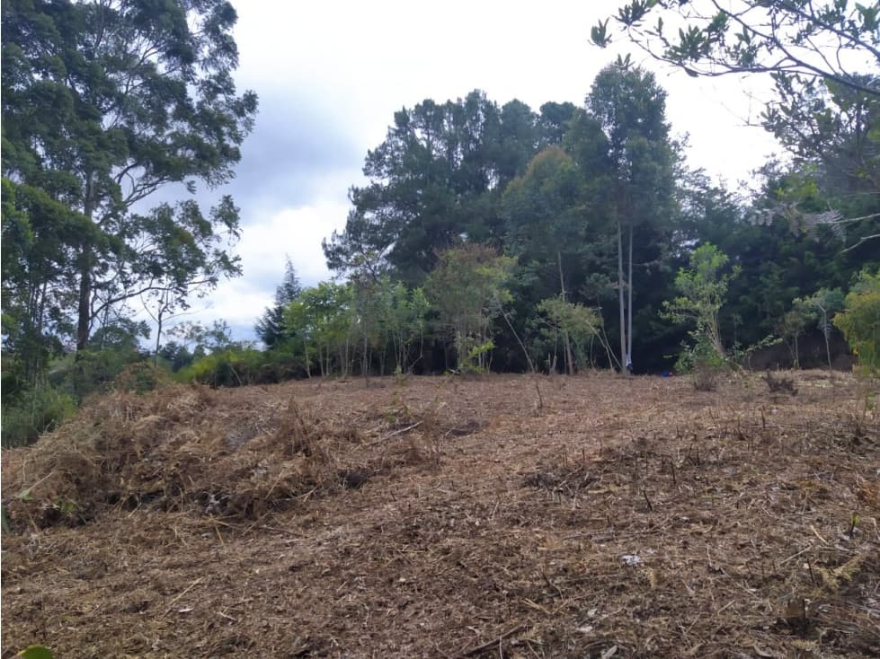 Venta de lote en Vereda Los Pinos - Rionegro - 1