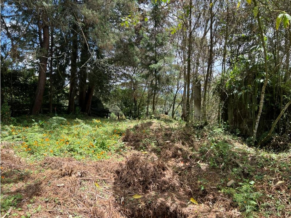 Venta de lote en Vereda Los Pinos - Rionegro - 1