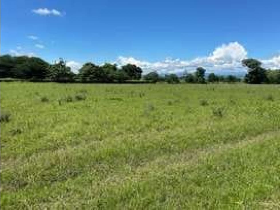 SE VENDE LOTE COLINDANTE CON EL AEROPUERTO SANTIAGO VILLA - 1