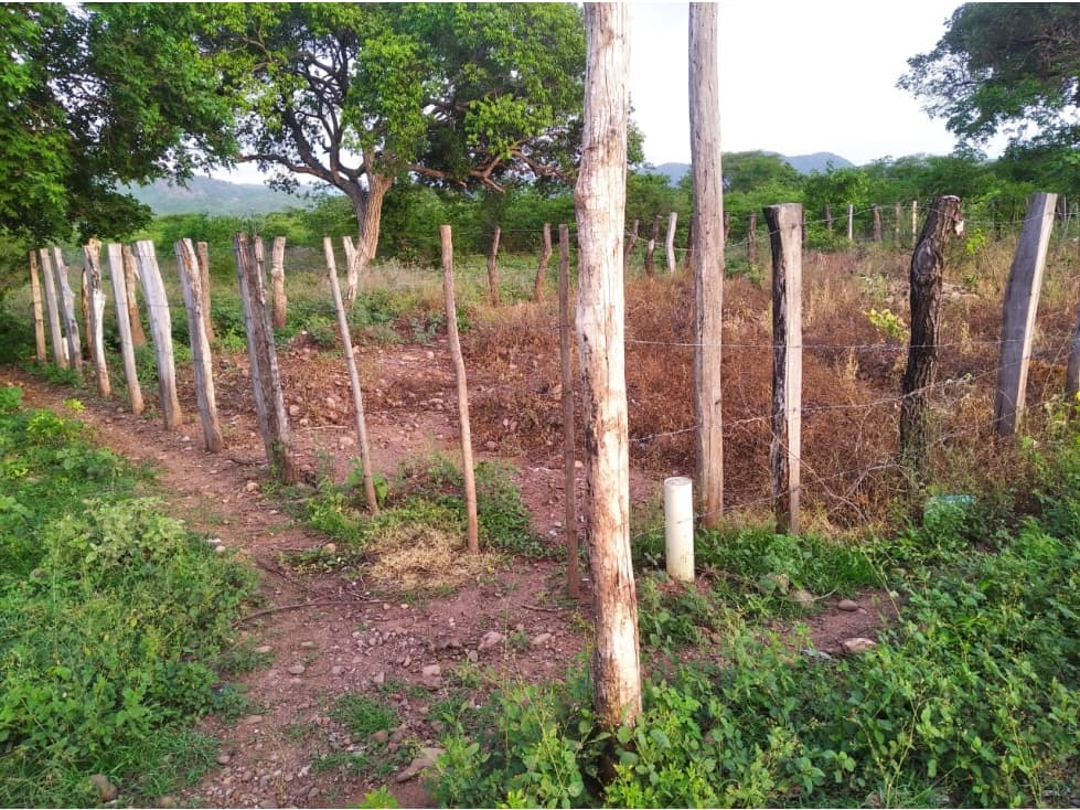 VENDO 2 LOTES UBICADOS EN SAN DIEGO CESAR - 1