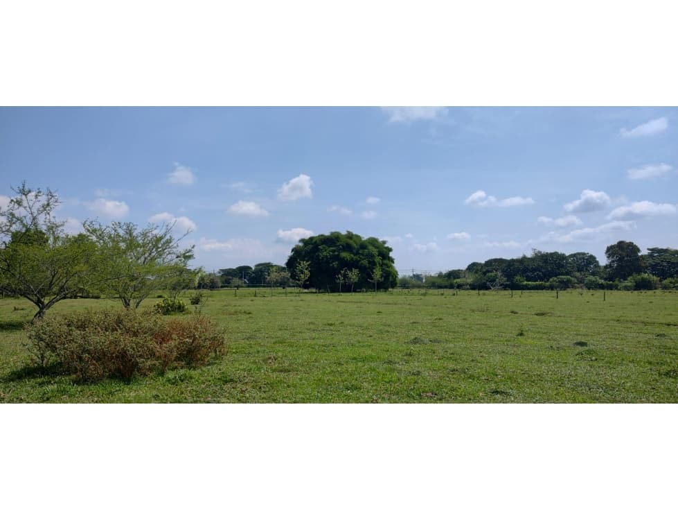 VENTA TERRENO PARA CONSTRUIR EN JAMUNDI EXCELENTE UBICACION - 1