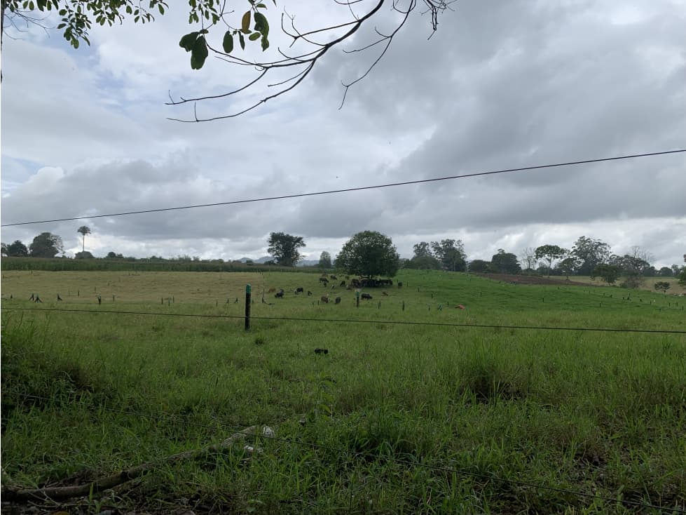 SE VENDE FINCA PLANA CERCA A PUEBLO TAPAO - 1