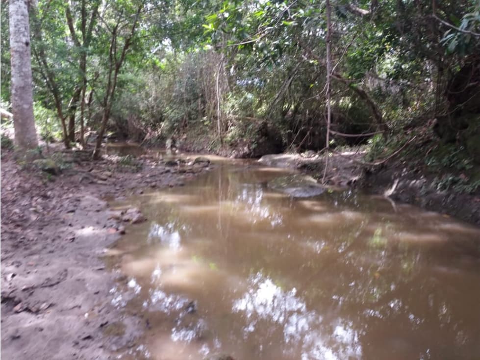 FINCA SUAREZ TOLIMA - 1