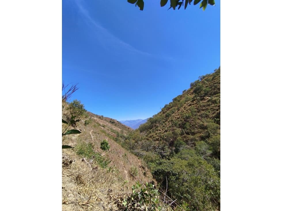 FINCA EN CURITÍ (SANTANDER)- VEREDA COLMENITAS ALTO - 1