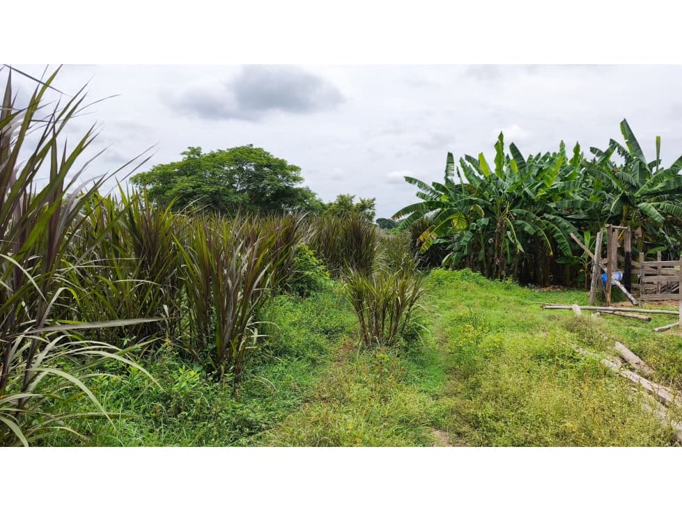 VENTA DE FINCA EN SAMPUES SUCRE - 1