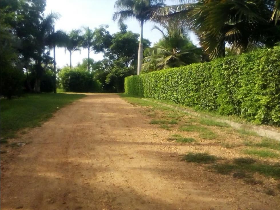 VENTA DE LOTE CAMPESTRE EN SAMPUES SUCRE - 1