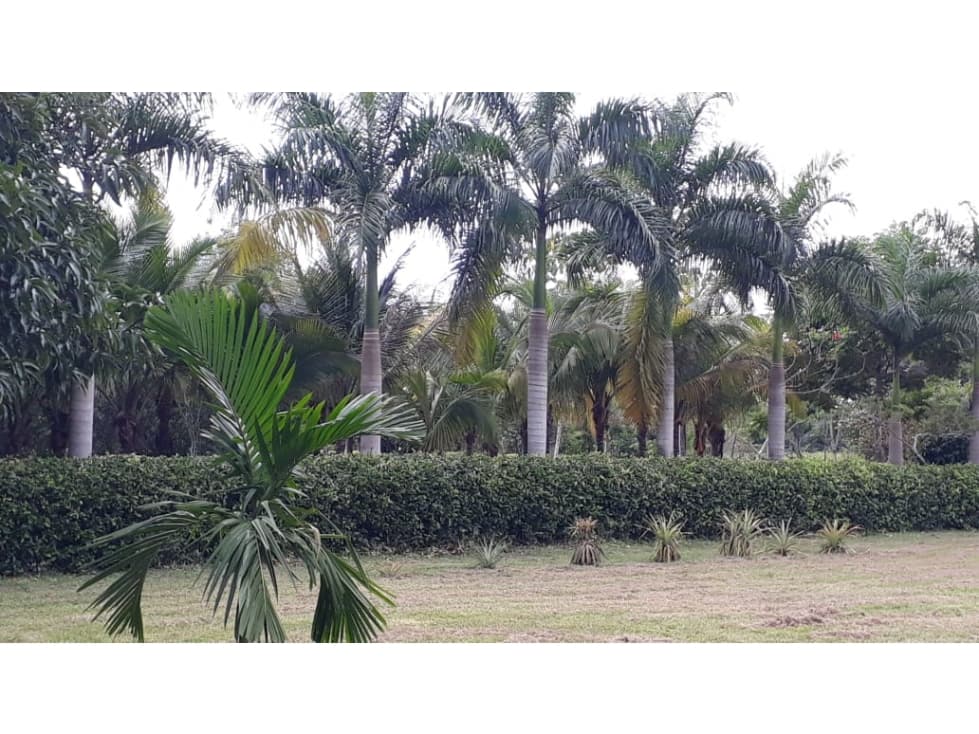 Vendo en amplio condominio lote cerca a Puerto Lopez, Meta - 1