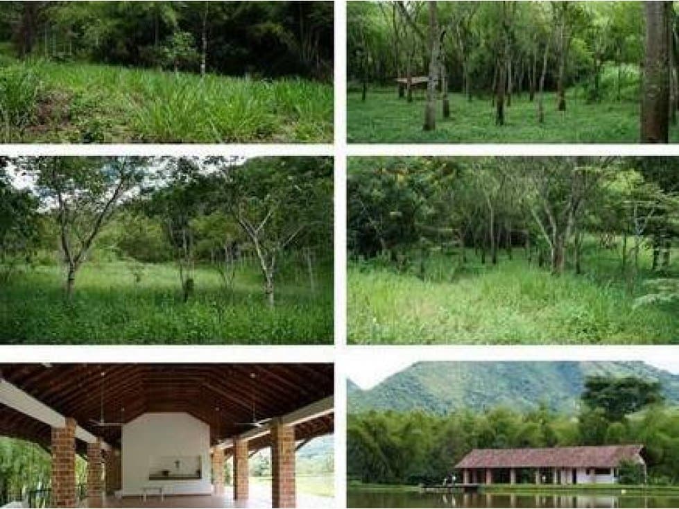 venta de lotes en Parcelacion la Siria Antioquia. - 1