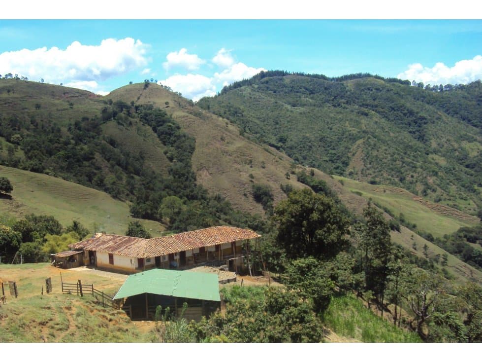 Venta Finca Pueblo Rico Suroeste Antioqueño - 1